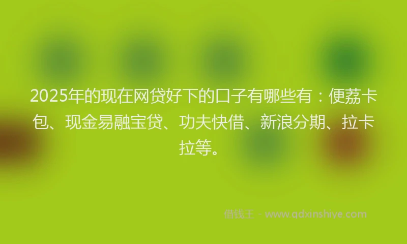 2025年的现在网贷好下的口子有哪些有：便荔卡包、现金易融宝贷、功夫快借、新浪分期、拉卡拉等。