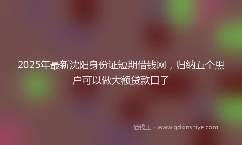 2025年最新沈阳身份证短期借钱网，归纳五个黑户可以做大额贷款口子