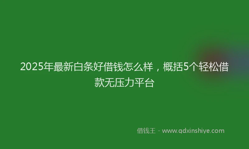2025年最新白条好借钱怎么样，概括5个轻松借款无压力平台