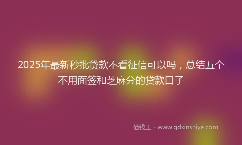 2025年最新秒批贷款不看征信可以吗，总结五个不用面签和芝麻分的贷款口子