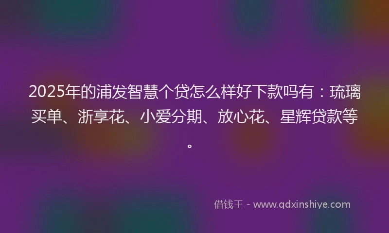 2025年的浦发智慧个贷怎么样好下款吗有：琉璃买单、浙享花、小爱分期、放心花、星辉贷款等。