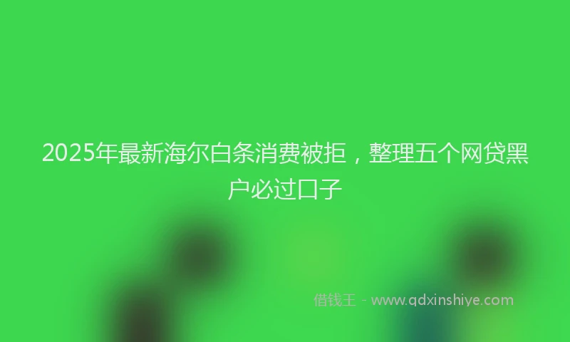 2025年最新海尔白条消费被拒,整理五个网贷黑户必过口子
