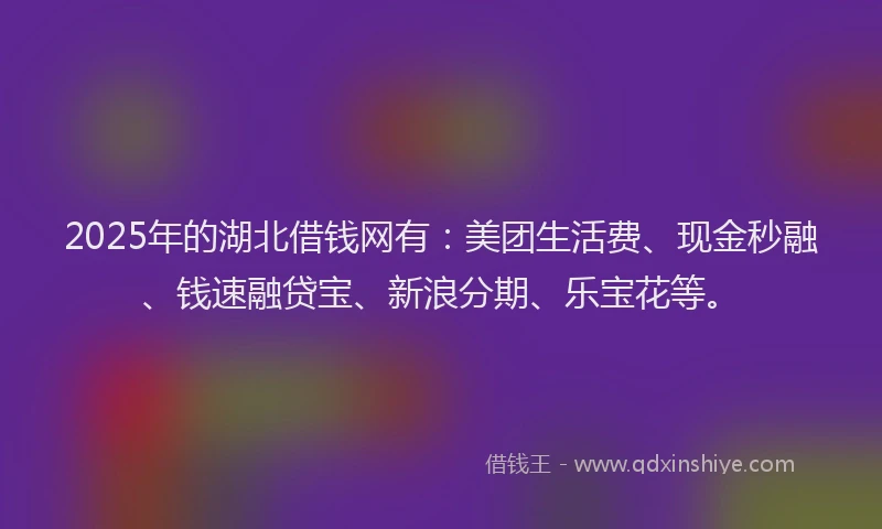 2025年的湖北借钱网有：美团生活费、现金秒融、钱速融贷宝、新浪分期、乐宝花等。