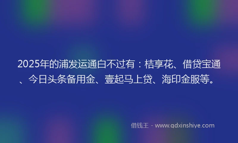 2025年的浦发运通白不过有：桔享花、借贷宝通、今日头条备用金、壹起马上贷、海印金服等。