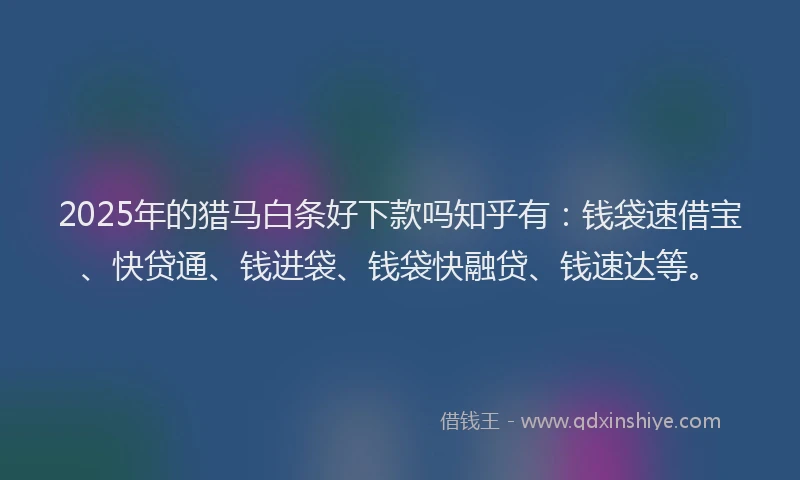 2025年的猎马白条好下款吗知乎有:钱袋速借宝、快贷通、钱进袋、钱袋快融贷、钱速达等。