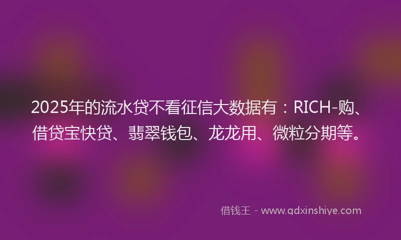 2025年的流水贷不看征信大数据有：RICH-购、借贷宝快贷、翡翠钱包、龙龙用、微粒分期等。