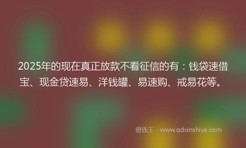 2025年的现在真正放款不看征信的有：钱袋速借宝、现金贷速易、洋钱罐、易速购、戒易花等。