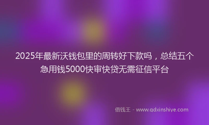 2025年最新沃钱包里的周转好下款吗，总结五个急用钱5000快审快贷无需征信平台