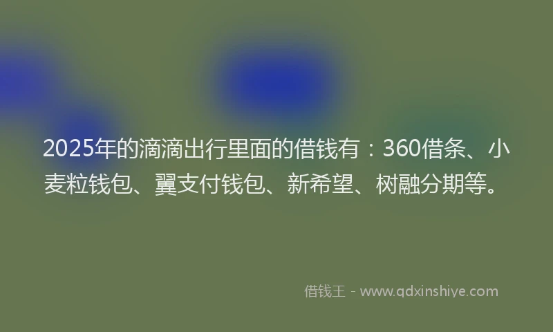 2025年的滴滴出行里面的借钱有：360借条、小麦粒钱包、翼支付钱包、新希望、树融分期等。
