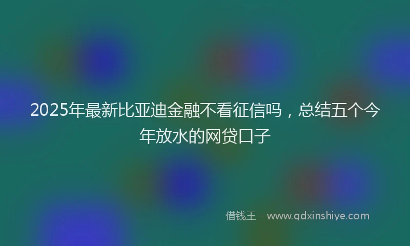 2025年最新比亚迪金融不看征信吗，总结五个今年放水的网贷口子