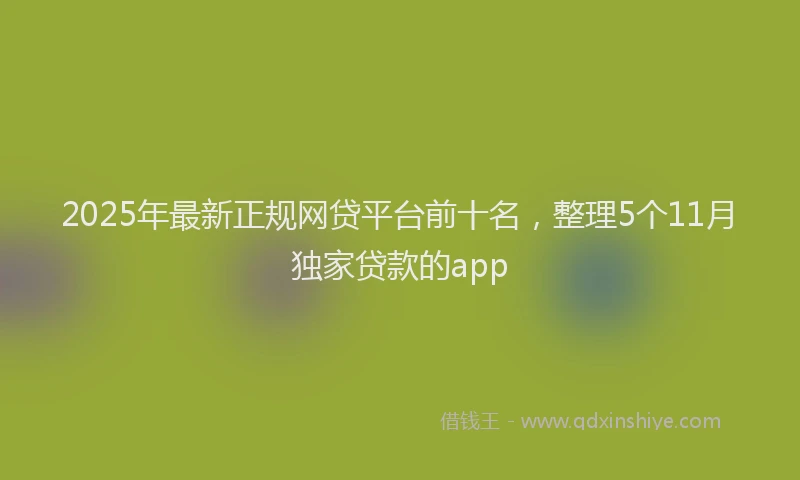 2025年最新正规网贷平台前十名，整理5个11月独家贷款的app