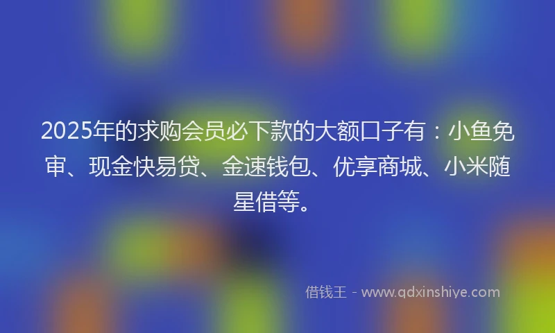 2025年的求购会员必下款的大额口子有：小鱼免审、现金快易贷、金速钱包、优享商城、小米随星借等。