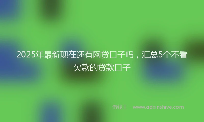 2025年最新现在还有网贷口子吗，汇总5个不看欠款的贷款口子