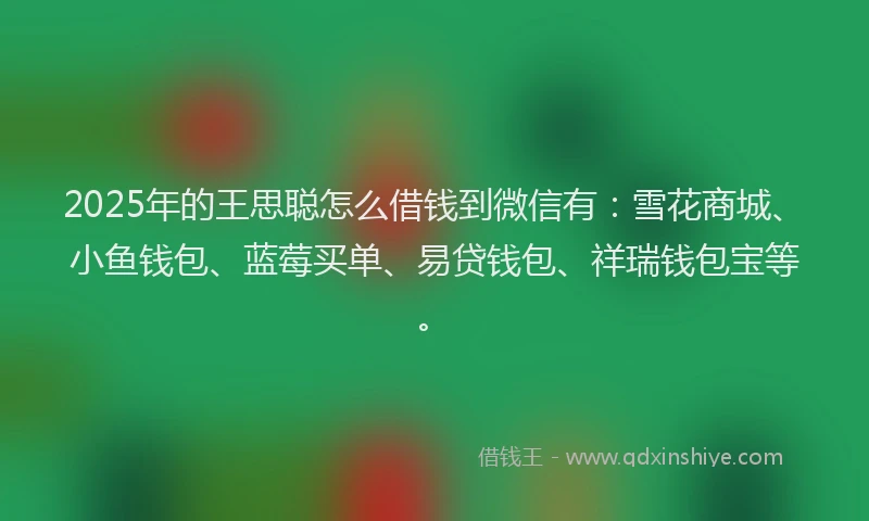 2025年的王思聪怎么借钱到微信有：雪花商城、小鱼钱包、蓝莓买单、易贷钱包、祥瑞钱包宝等。