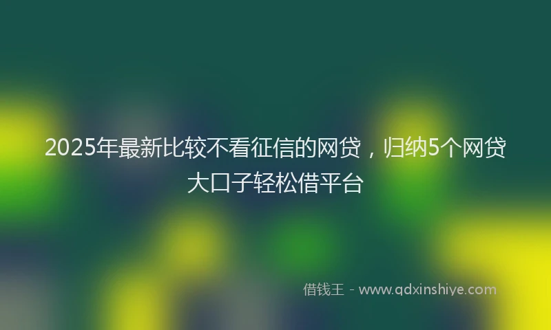 2025年最新比较不看征信的网贷，归纳5个网贷大口子轻松借平台