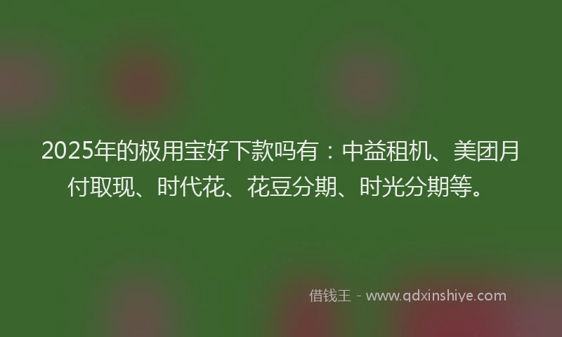 2025年的极用宝好下款吗有：中益租机、美团月付取现、时代花、花豆分期、时光分期等。
