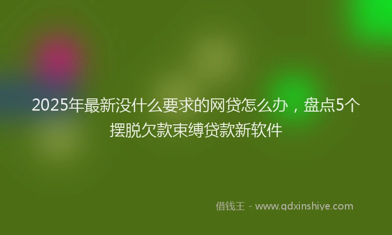 2025年最新没什么要求的网贷怎么办，盘点5个摆脱欠款束缚贷款新软件