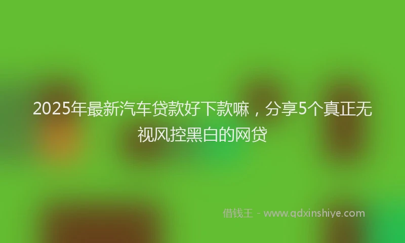 2025年最新汽车贷款好下款嘛，分享5个真正无视风控黑白的网贷