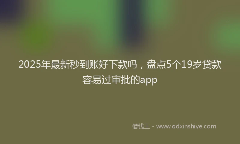2025年最新秒到账好下款吗，盘点5个19岁贷款容易过审批的app