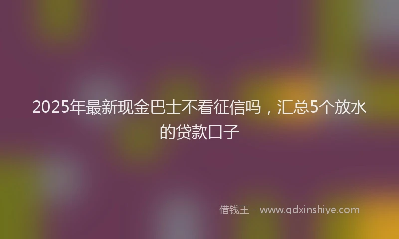 2025年最新现金巴士不看征信吗，汇总5个放水的贷款口子
