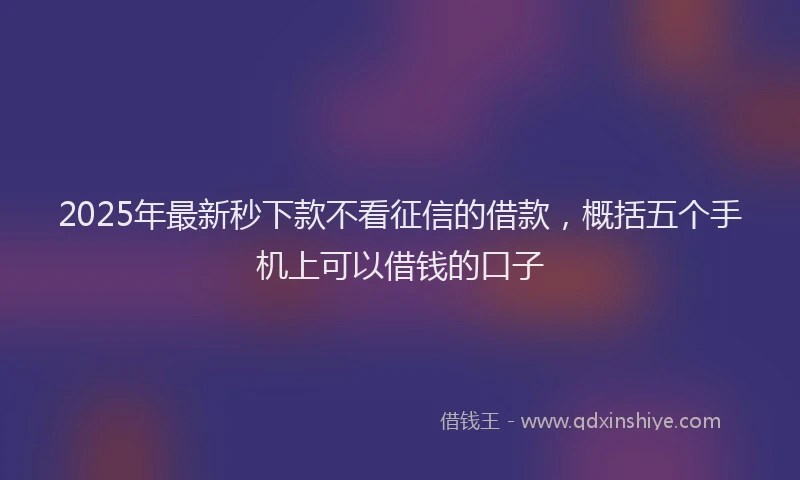 2025年最新秒下款不看征信的借款，概括五个手机上可以借钱的口子