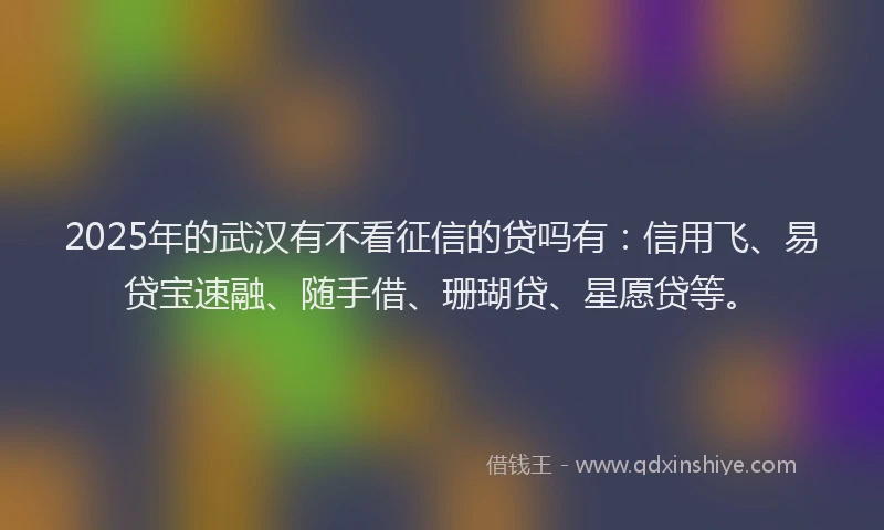 2025年的武汉有不看征信的贷吗有：信用飞、易贷宝速融、随手借、珊瑚贷、星愿贷等。
