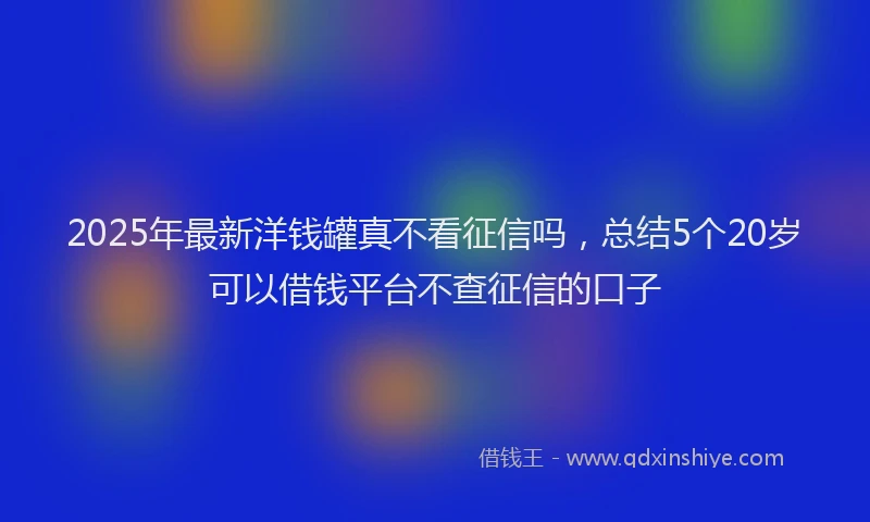 2025年最新洋钱罐真不看征信吗，总结5个20岁可以借钱平台不查征信的口子