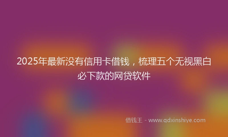 2025年最新没有信用卡借钱，梳理五个无视黑白必下款的网贷软件