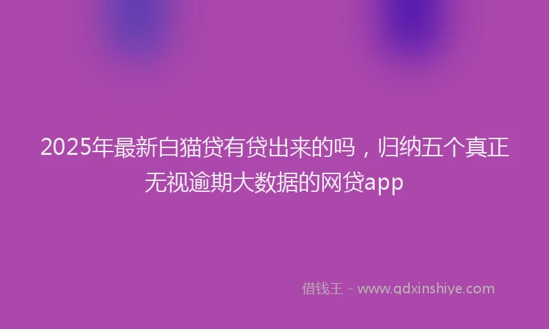 2025年最新白猫贷有贷出来的吗，归纳五个真正无视逾期大数据的网贷app