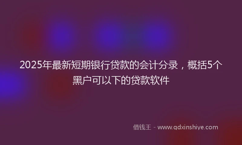 2025年最新短期银行贷款的会计分录，概括5个黑户可以下的贷款软件