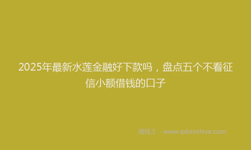 2025年最新水莲金融好下款吗，盘点五个不看征信小额借钱的口子