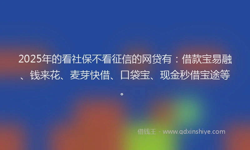 2025年的看社保不看征信的网贷有：借款宝易融、钱来花、麦芽快借、口袋宝、现金秒借宝途等。