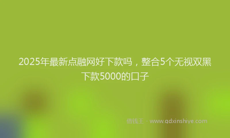 2025年最新点融网好下款吗，整合5个无视双黑下款5000的口子