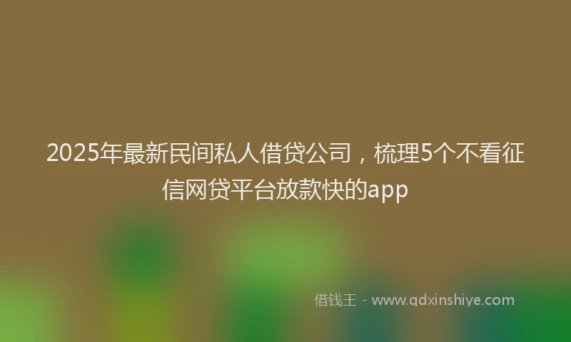 2025年最新民间私人借贷公司，梳理5个不看征信网贷平台放款快的app