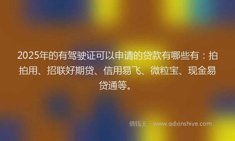 2025年的有驾驶证可以申请的贷款有哪些有：拍拍用、招联好期贷、信用易飞、微粒宝、现金易贷通等。