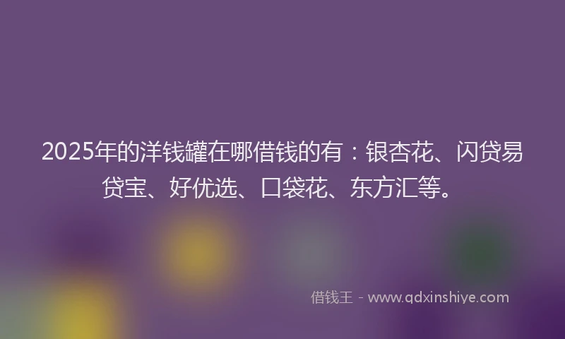 2025年的洋钱罐在哪借钱的有:银杏花、闪贷易贷宝、好优选、口袋花、东方汇等。