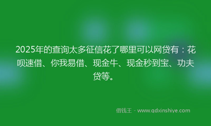 2025年的查询太多征信花了哪里可以网贷有：花呗速借、你我易借、现金牛、现金秒到宝、功夫贷等。
