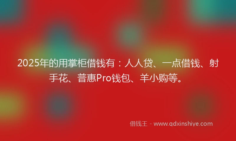 2025年的用掌柜借钱有：人人贷、一点借钱、射手花、普惠Pro钱包、羊小购等。