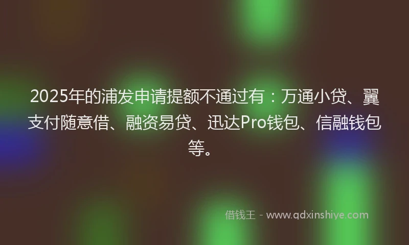 2025年的浦发申请提额不通过有：万通小贷、翼支付随意借、融资易贷、迅达Pro钱包、信融钱包等。