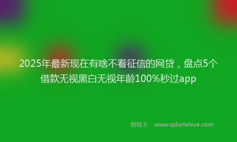 2025年最新现在有啥不看征信的网贷，盘点5个借款无视黑白无视年龄100%秒过app