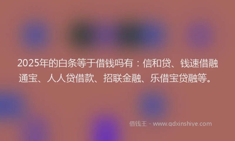 2025年的白条等于借钱吗有：信和贷、钱速借融通宝、人人贷借款、招联金融、乐借宝贷融等。