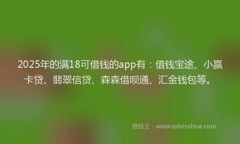 2025年的满18可借钱的app有：借钱宝途、小赢卡贷、翡翠信贷、森森借呗通、汇金钱包等。