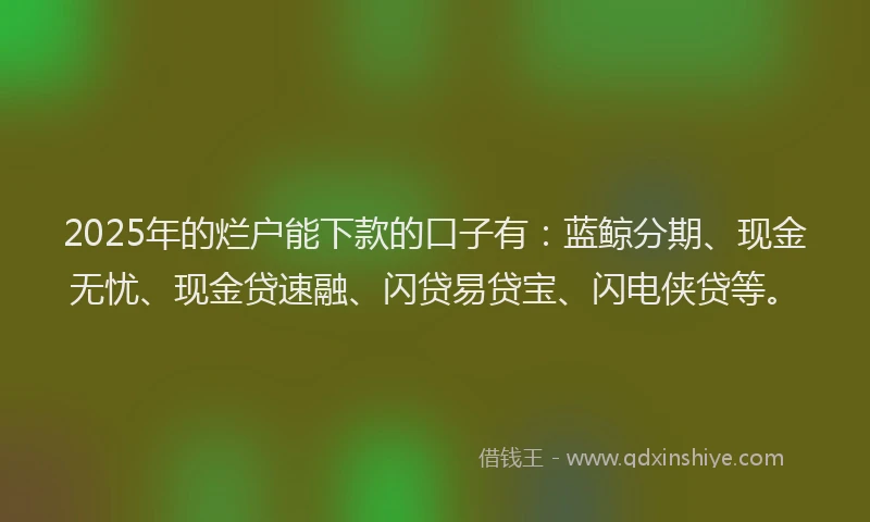 2025年的烂户能下款的口子有：蓝鲸分期、现金无忧、现金贷速融、闪贷易贷宝、闪电侠贷等。