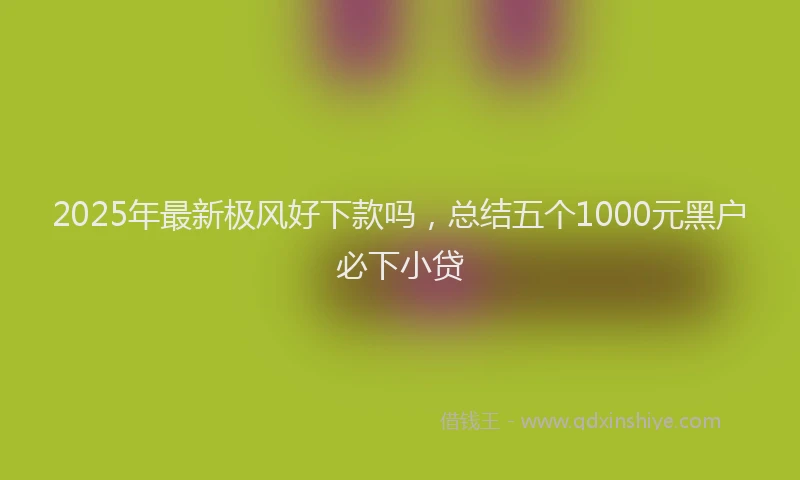 2025年最新极风好下款吗，总结五个1000元黑户必下小贷