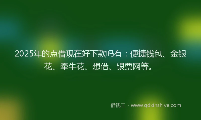 2025年的点借现在好下款吗有：便捷钱包、金银花、牵牛花、想借、银票网等。