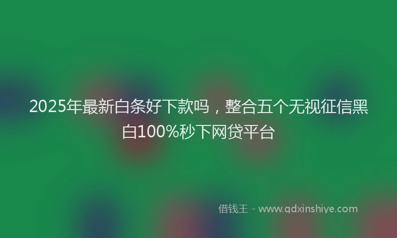 2025年最新白条好下款吗，整合五个无视征信黑白100%秒下网贷平台