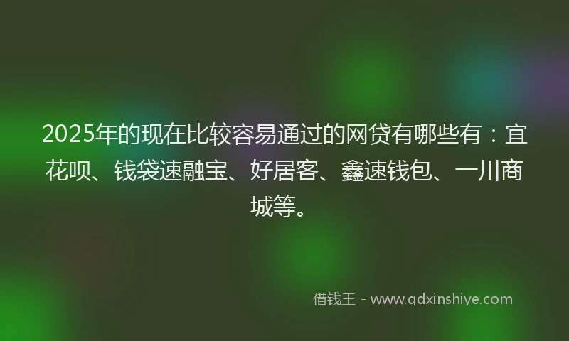 2025年的现在比较容易通过的网贷有哪些有：宜花呗、钱袋速融宝、好居客、鑫速钱包、一川商城等。