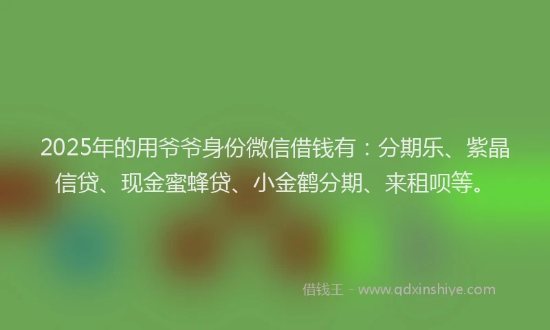 2025年的用爷爷身份微信借钱有：分期乐、紫晶信贷、现金蜜蜂贷、小金鹤分期、来租呗等。