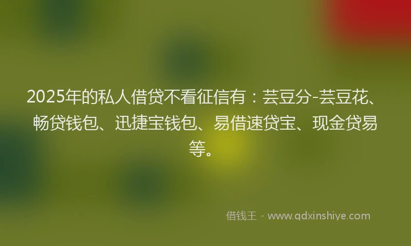 2025年的私人借贷不看征信有：芸豆分-芸豆花、畅贷钱包、迅捷宝钱包、易借速贷宝、现金贷易等。