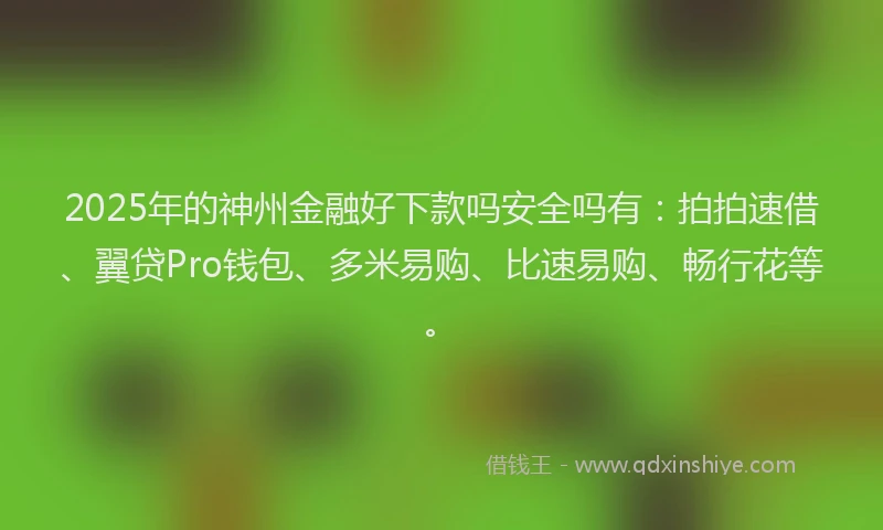 2025年的神州金融好下款吗安全吗有：拍拍速借、翼贷Pro钱包、多米易购、比速易购、畅行花等。